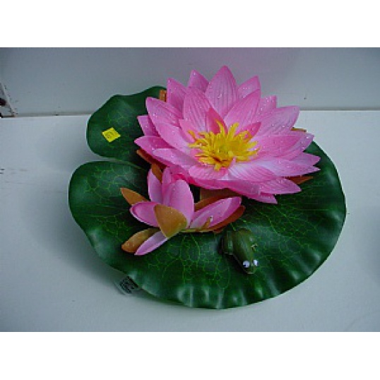 Water Lily With Frog Pink