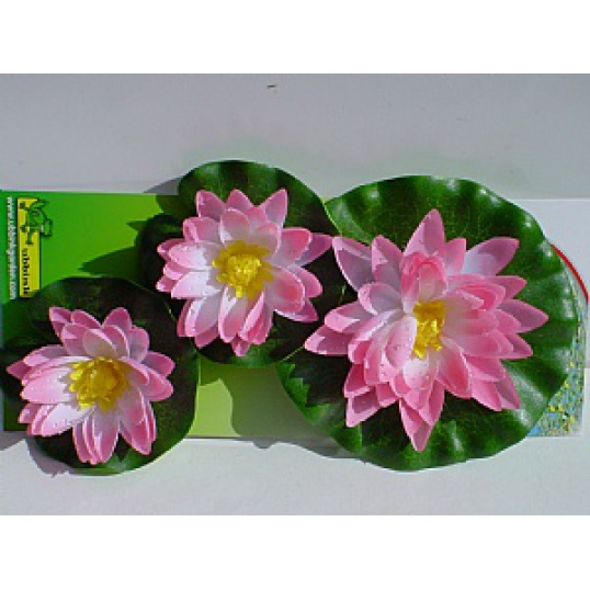 Water Lily Flowers Pink