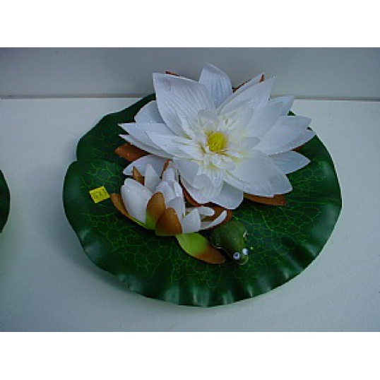 Water Lily With Frog White