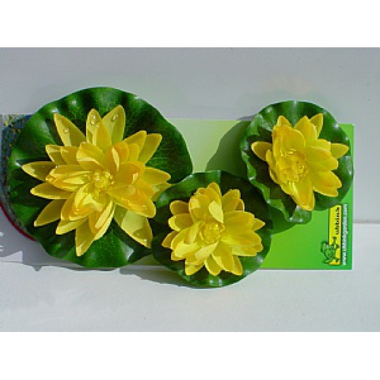 Water Lily Flowers Yellow